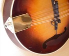 PA Mandolin Pickup
